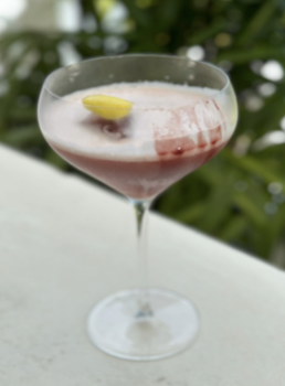 Pisco Disco